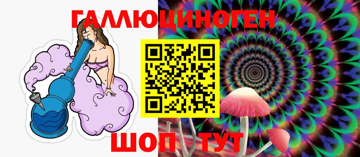 Галлюциногенные грибы Psilocybe Красноармейск