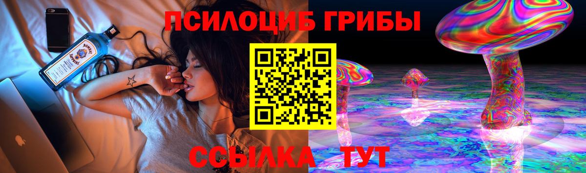 Красноармейск  Галлюциногенные грибы MAGIC MUSHROOMS  Вход с VPN  Галлюциногенные грибы Psilocybine cubensis 